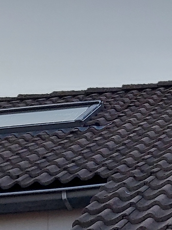 Afbeeldingslocatie: https://tweakers.net/i/yc40WsQbjM-pr37-SN87GsKWJoc=/x800/filters:strip_icc():strip_exif()/f/image/tcSqooF4fC2H0JjkgmQqEdnW.jpg?f=fotoalbum_large