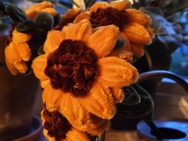 Phone 4a Pro cameratest - 2x zoom