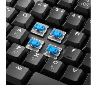 Sharkoon PureWriter TKL RGB