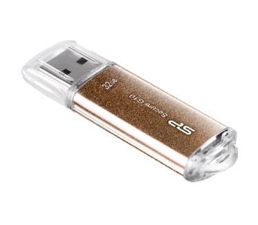 Silicon Power Secure G10 32GB Brons