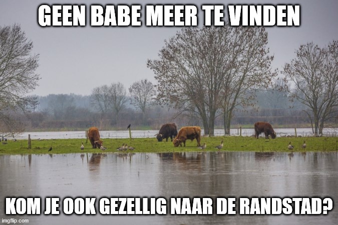 Afbeeldingslocatie: https://tweakers.net/i/yeNiRXkoC44YIv8xTDjnmkQtFys=/full-fit-in/4920x3264/filters:max_bytes(3145728):no_upscale():strip_icc():fill(white):strip_exif()/f/image/YQb7pq6Q48yHYUaHEEHavjxq.jpg?f=user_large