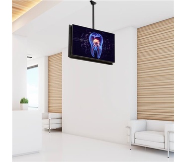 Startech.com Plafond TV beugel voor twee back-to-back schermen 1m tot 1,5m stang