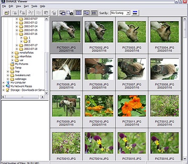 Dimage 7i review: Dimage Viewer screenshot
