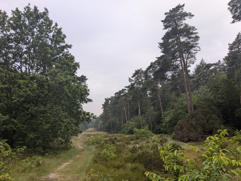 Afbeeldingslocatie: https://tweakers.net/i/yi4wQUFWZlsTSod5at32JcrjHMc=/800x/filters:strip_icc():strip_exif()/f/image/mi9NF24PcuDWk6ZaORg9Sv48.jpg?f=fotoalbum_large