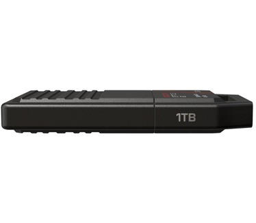 Sandisk Optimus GX C50