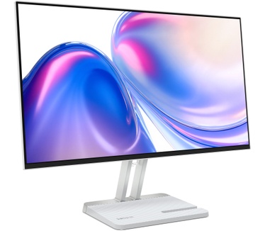 Lenovo L24-45 Monitor