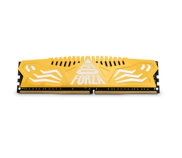 Neo Forza Encke DDR4