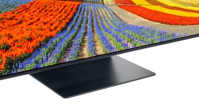 Samsung S95F - voet