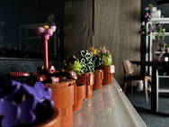 Cameratest iPhone 17e - Hoofdcamera