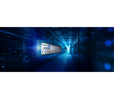 Kingston 480G DC2000B M.2 4.0 M.2 2280 SSD