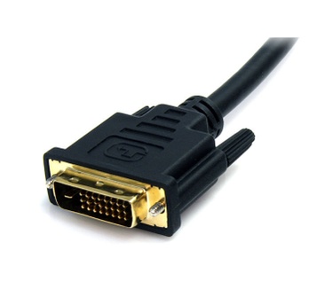 Startech.com 6ft DisplayPort - DVI