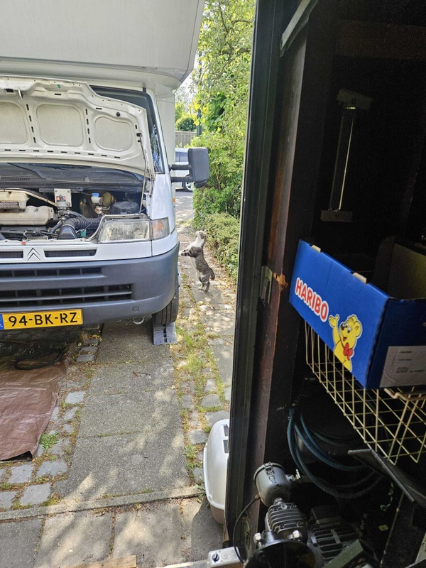 Afbeeldingslocatie: https://tweakers.net/i/yv1155xZ6Jj7coVmdSGh32lNwnE=/x800/filters:strip_icc():strip_exif()/f/image/VUIXcIAc3CUHU0ajuRMGxqgk.jpg?f=fotoalbum_large