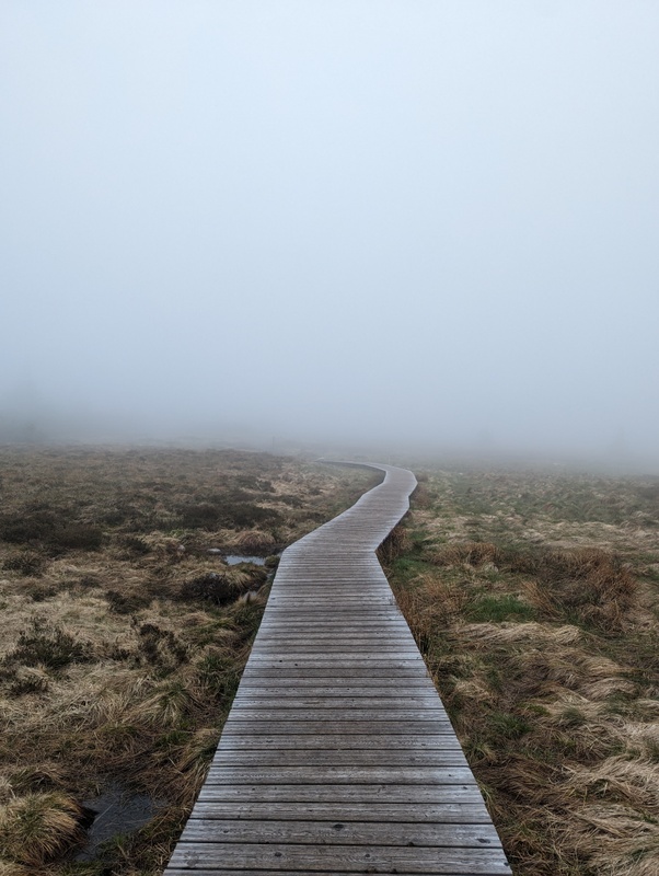 Afbeeldingslocatie: https://tweakers.net/i/ywTR3vTLNFuG8X4xwUObaCFV7MM=/x800/filters:strip_icc():strip_exif()/f/image/9OyHem8250VxJ2NZTpNzv3f3.jpg?f=fotoalbum_large