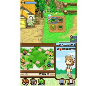 Harvest Moon DS: The Tale of Two Towns, NDS