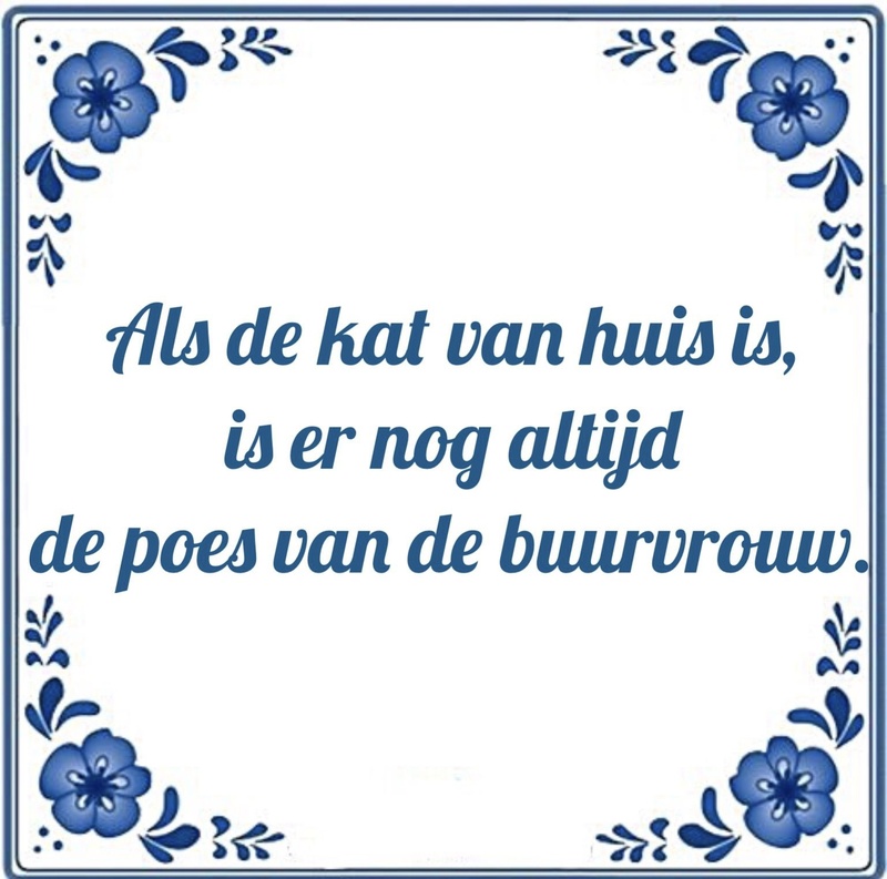 Afbeeldingslocatie: https://tweakers.net/i/yykVF9r69uwWWYc_AVD0UDoR9Sk=/800x/filters:strip_icc():strip_exif()/f/image/94X2s3YwM45Gfswg9ZjMBhyX.jpg?f=fotoalbum_large
