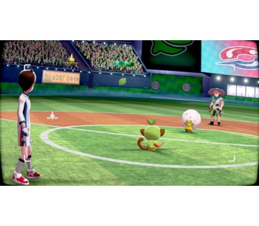 Pokémon Sword, Switch