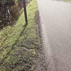 Afbeeldingslocatie: https://tweakers.net/i/z399dgg72CZsibgrLbWnmy6eKiE=/232x232/filters:strip_icc():strip_exif()/f/image/XD5MrNqQqsBDAy8P7nSglFBv.jpg?f=fotoalbum_tile