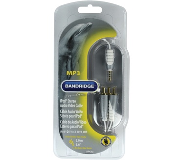 Bandridge SIP4202