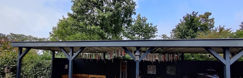 Afbeeldingslocatie: https://tweakers.net/i/zAH__jdJRl6yCvvbvDLUzC3p8rU=/800x/filters:strip_icc():strip_exif()/f/image/dp90oNF4maGnk1VMC9XxVtcW.jpg?f=fotoalbum_large