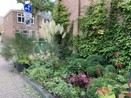 iPhone XS en XS Max fotossamples goede lichtomstandigheden