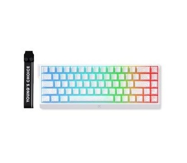 MCHOSE Ace68 E-sport Wit Topographic 65% Hall Effect Uranus Magnetische Switch eSports 8K Hz RGB Hotswap Mechanisch Gaming Toetsenbord (MC-Ace68-16)