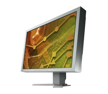 Eizo S2433WH Grijs