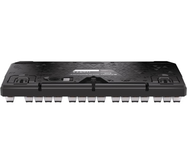 ENDORFY TKL