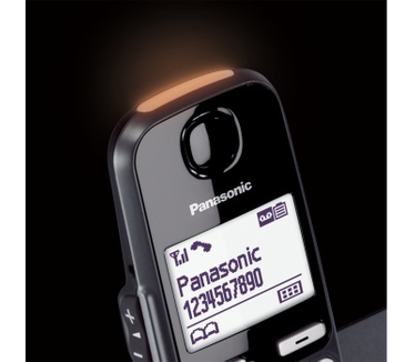 Panasonic KX-TGE260NLB