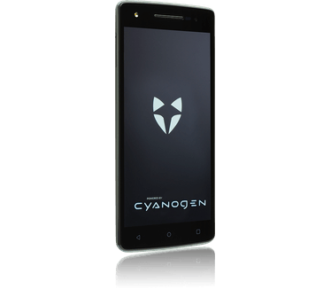 WileyFox Storm