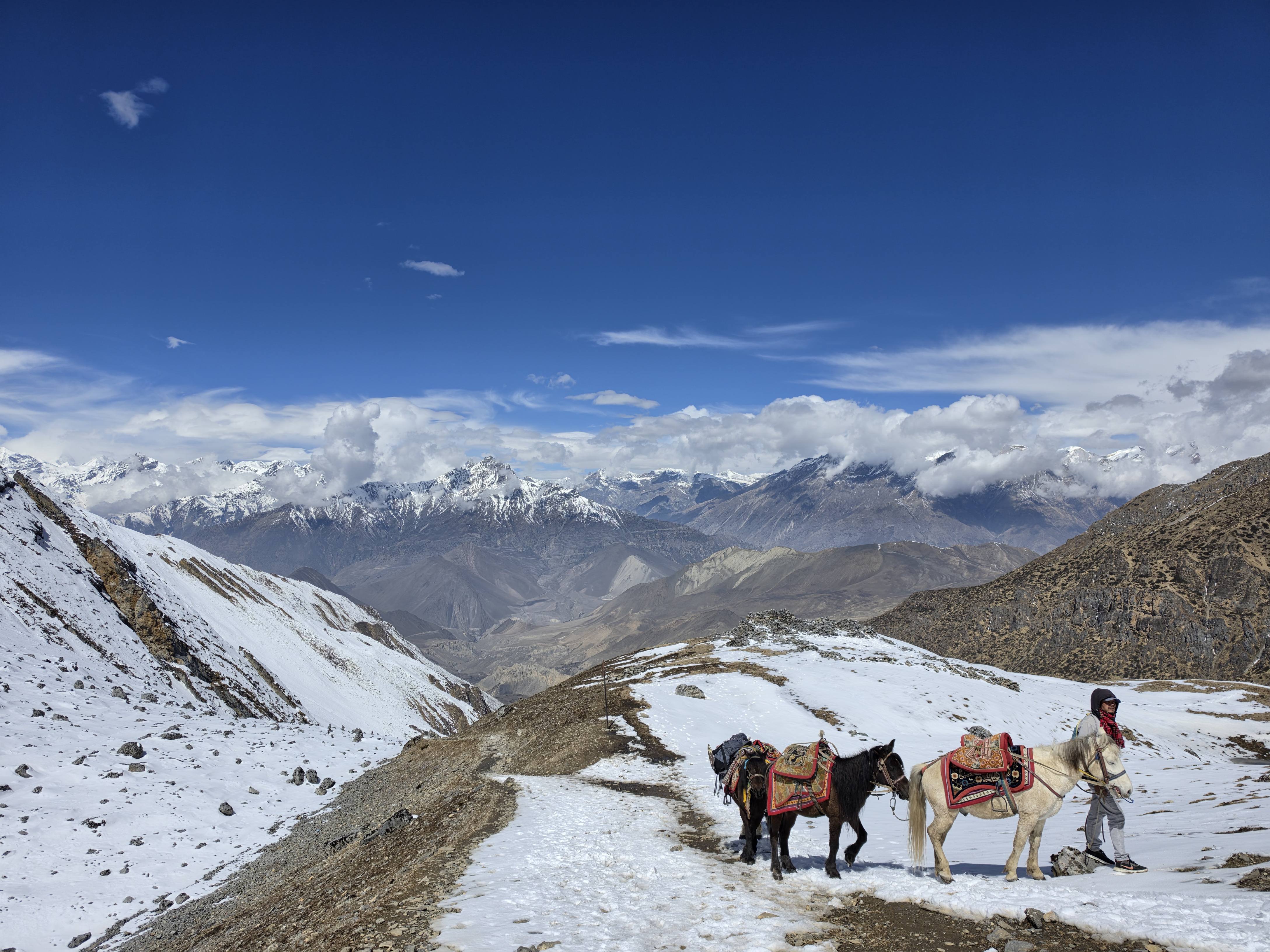 Afbeeldingslocatie: https://tweakers.net/i/zEuGyU3WAboZppCclKgRws6ZfcM=/fit-in/4920x3264/filters:max_bytes(3145728):no_upscale():strip_icc():strip_exif()/f/image/bOrG06fXteaQFgCzSySMXGva.jpg?f=user_large