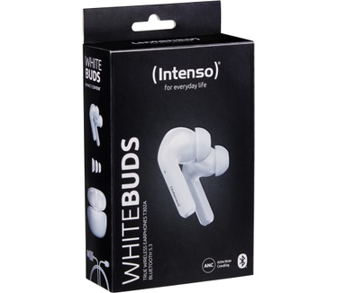 Intenso T302A (Wit)