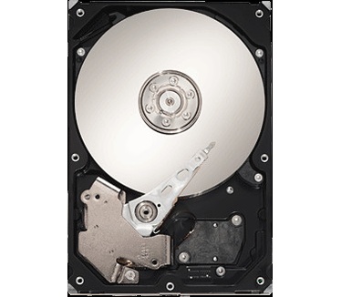 Seagate Barracuda 7200.11 ST3320613AS, 320GB