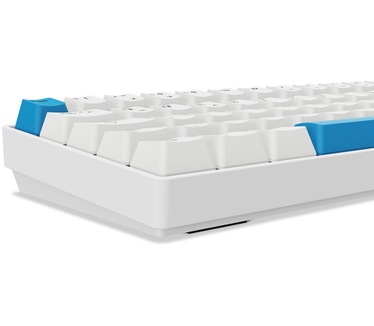 Sharkoon SGK50 S4