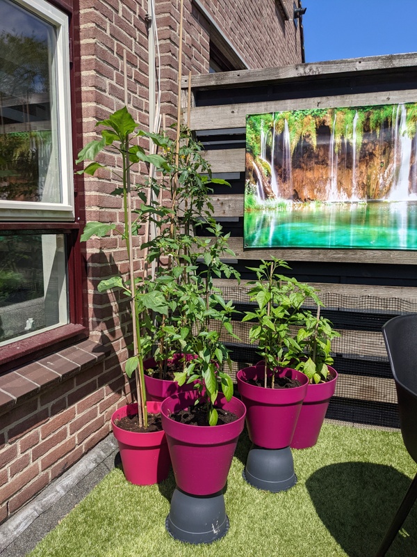 Afbeeldingslocatie: https://tweakers.net/i/zGWrg4cJc4Xmp_KwR3yxkJyr8SI=/x800/filters:strip_icc():strip_exif()/f/image/Al2QrMmUAWgIQ4zGyleB503m.jpg?f=fotoalbum_large