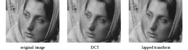 Daala