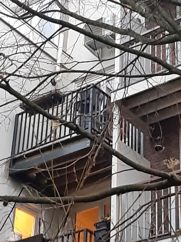Afbeeldingslocatie: https://tweakers.net/i/zKnaGZtQf5dHSZZV9npQel4ucAk=/x800/filters:strip_icc():strip_exif()/f/image/uE742Skfg48GDs7bh8QrCaSe.jpg?f=fotoalbum_large