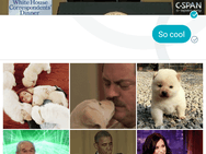 Google Allo