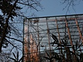 Canon EOS 600D samples