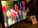 Asus ProArt Studio PA32UCX