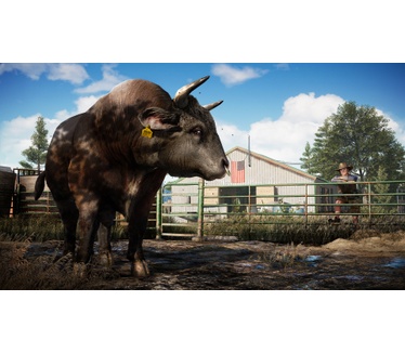 Far Cry 5 Deluxe Edition, PlayStation 4
