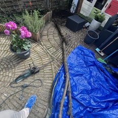 Afbeeldingslocatie: https://tweakers.net/i/zP95HoNkw8ZvE_QwM2iHTZjkk2s=/232x232/filters:strip_icc():strip_exif()/f/image/ULsrjP3ORBnfGFezHPzsitam.jpg?f=fotoalbum_tile