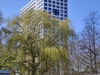 Afbeeldingslocatie: https://tweakers.net/i/zSLomVb9v5vxZ6QSbLrDyg9Rj58=/100x75/filters:strip_icc():strip_exif()/f/image/S3gUeLfD3PtxV6isOfd0hnbe.jpg?f=fotoalbum_small