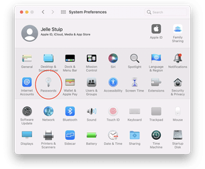 Apple passwords
