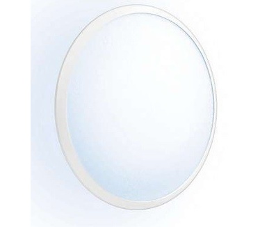 Philips Hue Phoenix Wand- en Plafondlamp