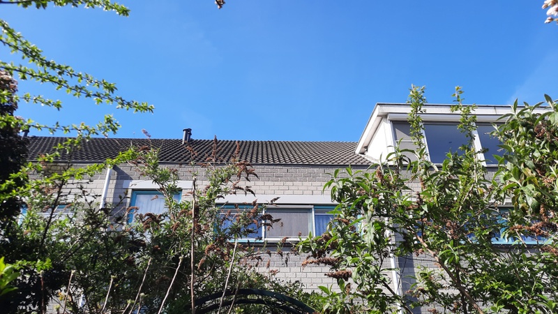 Afbeeldingslocatie: https://tweakers.net/i/zZPghEMZ4xWChqzIgqDYz8him7I=/800x/filters:strip_icc():strip_exif()/f/image/TrPYBMZKkx94gofrUBSdmf2B.jpg?f=fotoalbum_large