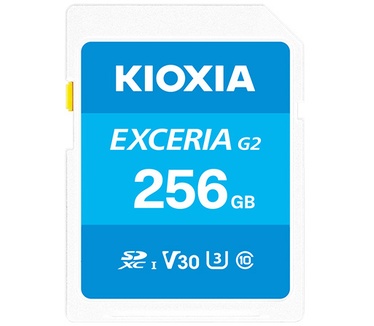 Kioxia LNEX2L256GG4