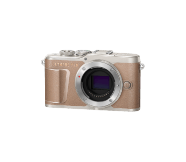 Olympus PEN E-PL10 Bruin