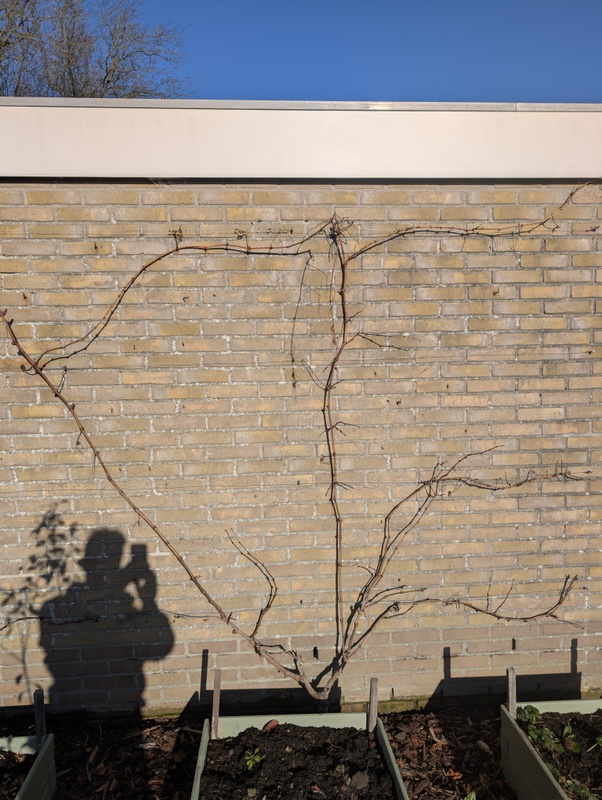 Afbeeldingslocatie: https://tweakers.net/i/zdGSTvq_-ZUUVqIHuLfyCMLVbGI=/x800/filters:strip_icc():strip_exif()/f/image/6VC6YFImYoXi4oIt6Lm0iKKd.jpg?f=fotoalbum_large