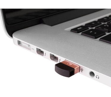Silicon Power Jewel J20 32GB Rosé Goud