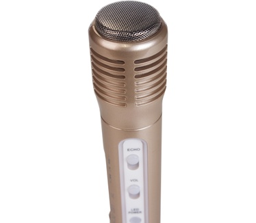 iDance PM 10